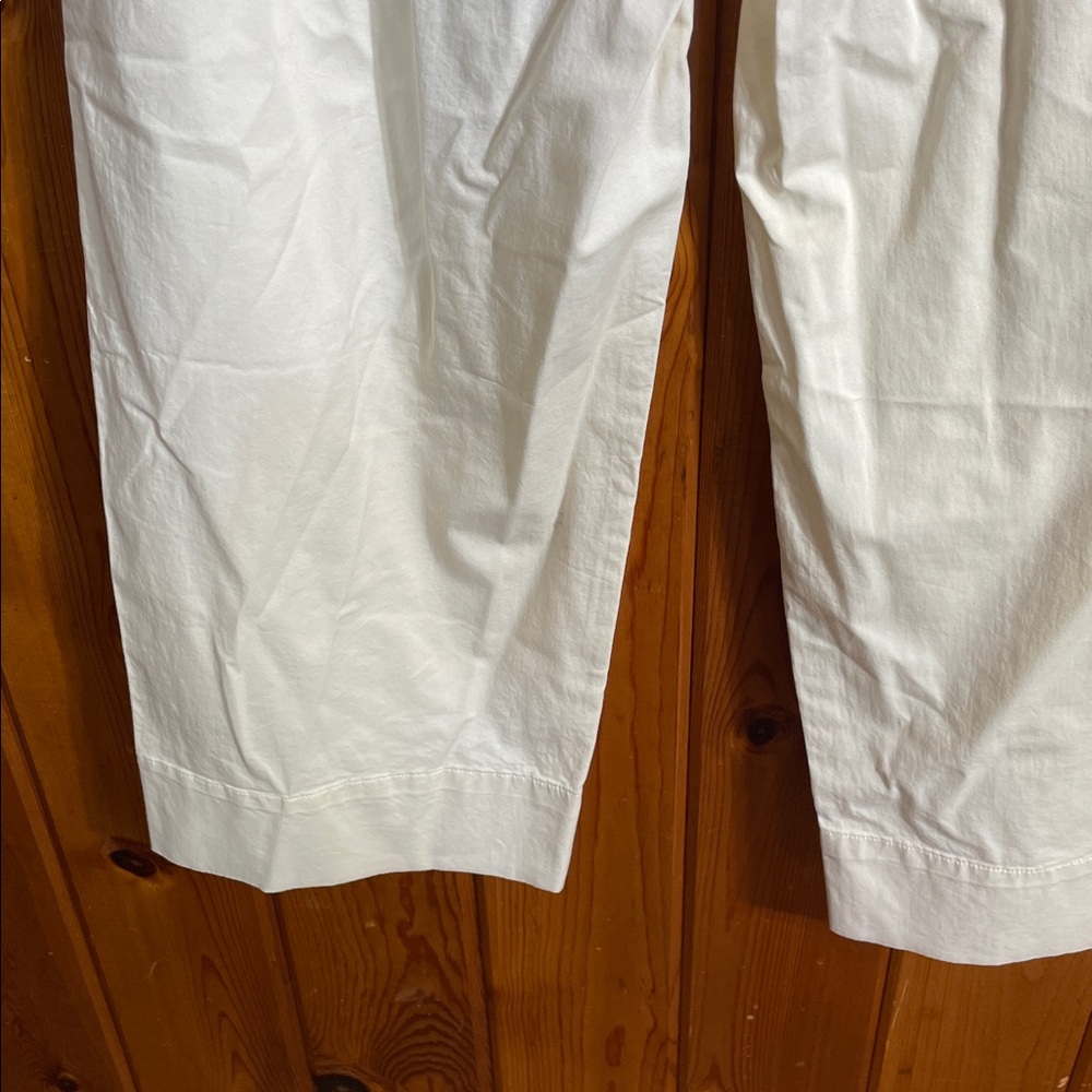 Everlane Cream Trousers with Belt the paper bag organic cotton pants medium - Picture 11 of 13